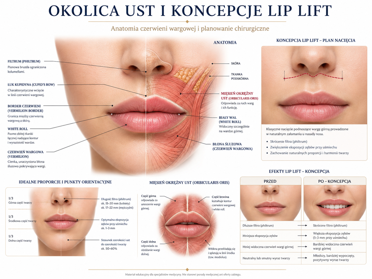 Profesjonalna ilustracja anatomii ust i lip lift